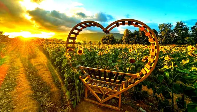 Finca los girasoles